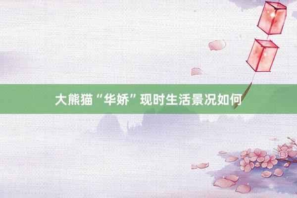 大熊猫“华娇”现时生活景况如何